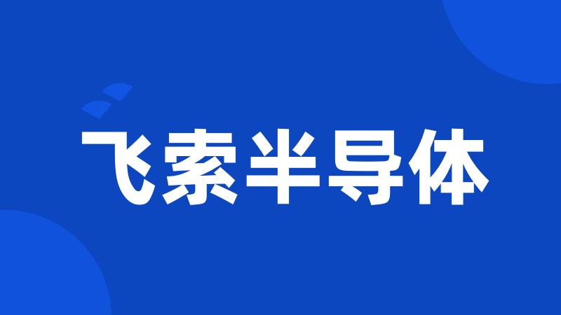 飞索半导体