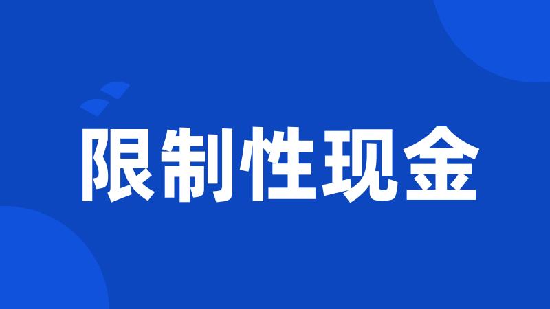 限制性现金