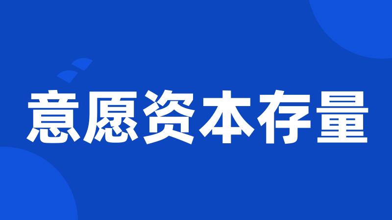意愿资本存量