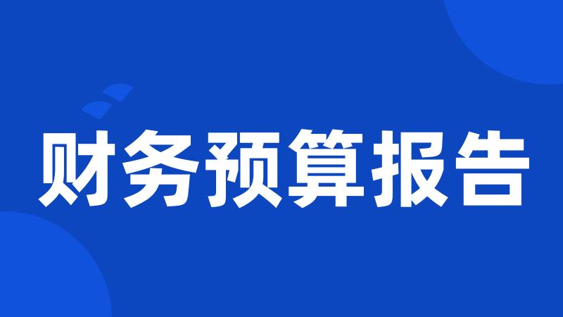 财务预算报告