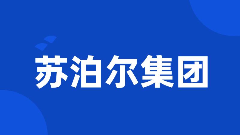 苏泊尔集团