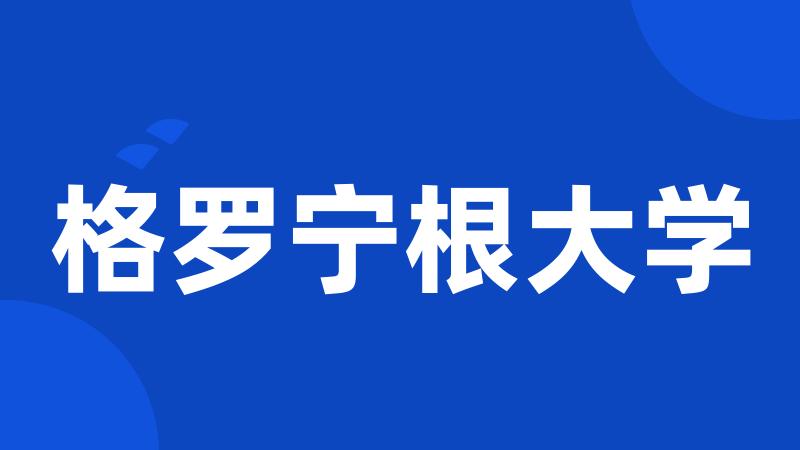 格罗宁根大学