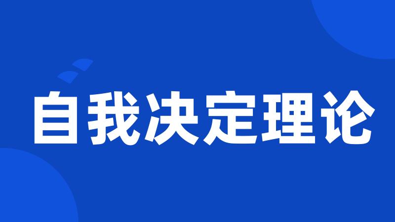 自我决定理论