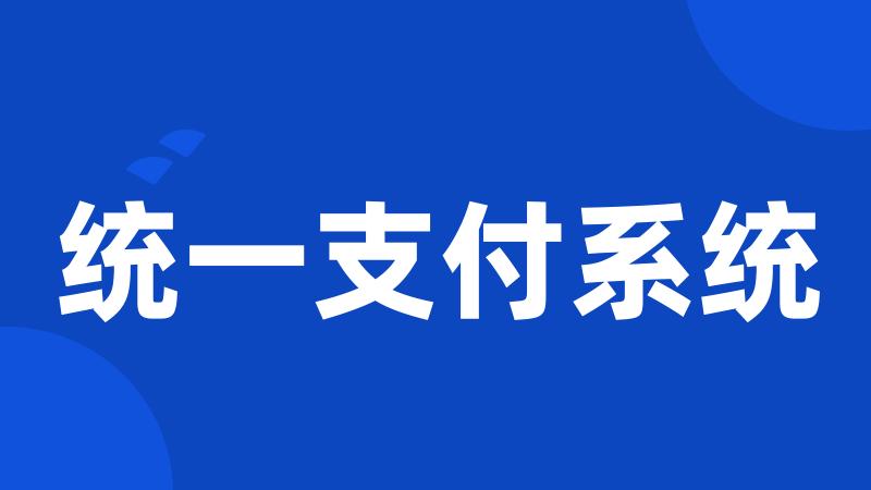 统一支付系统