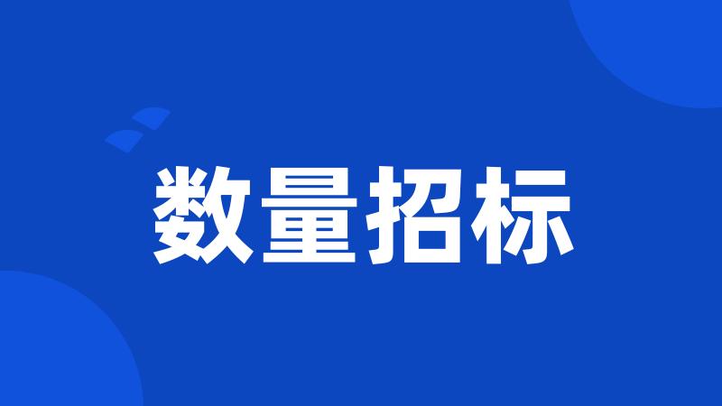 数量招标