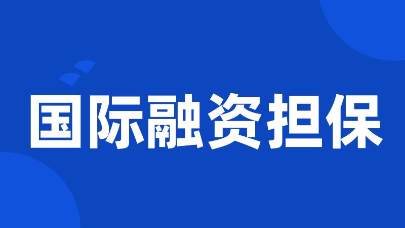 国际融资担保