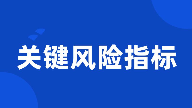 关键风险指标