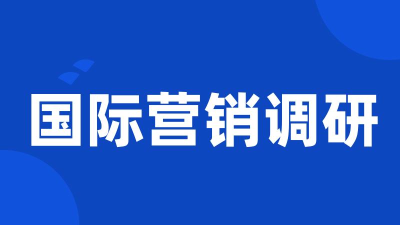 国际营销调研