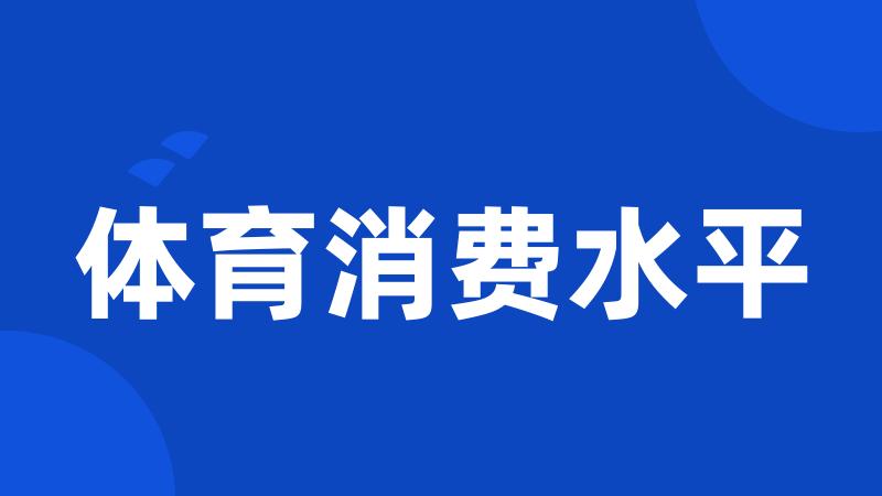 体育消费水平