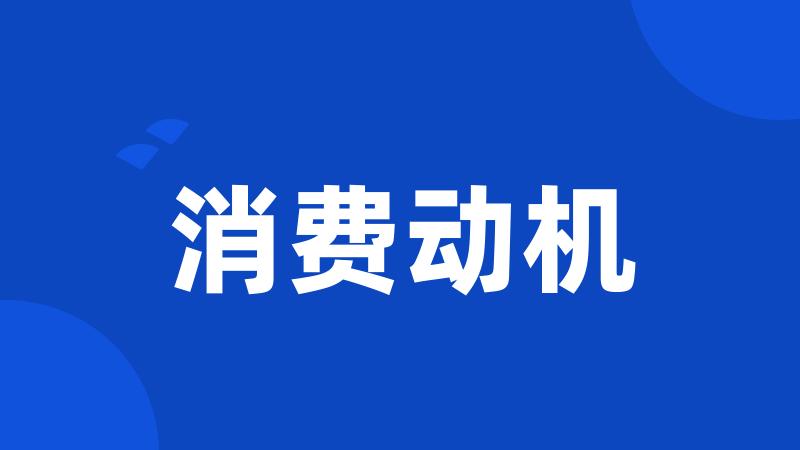 消费动机
