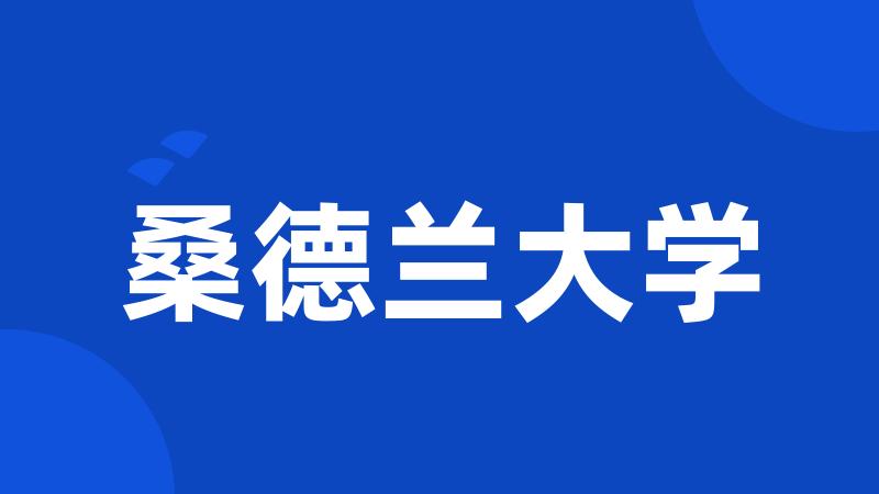桑德兰大学