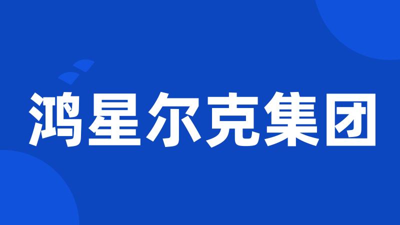 鸿星尔克集团
