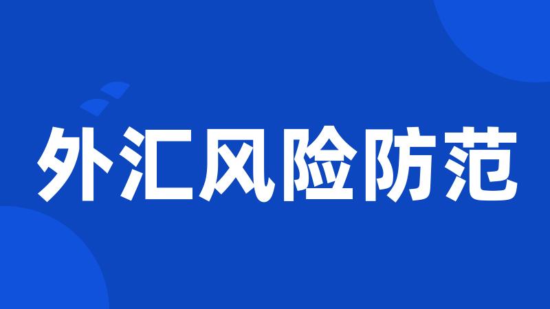 外汇风险防范