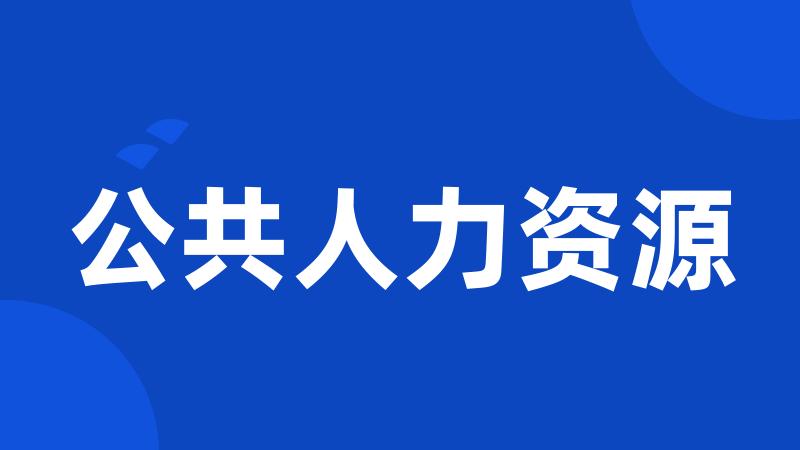 公共人力资源