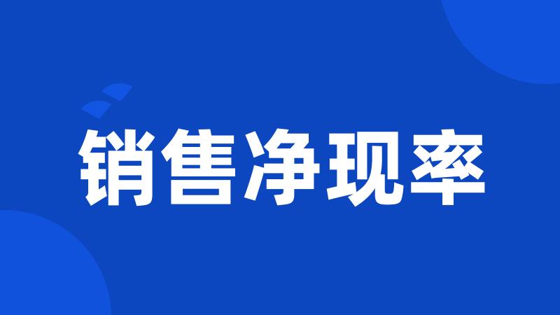 销售净现率