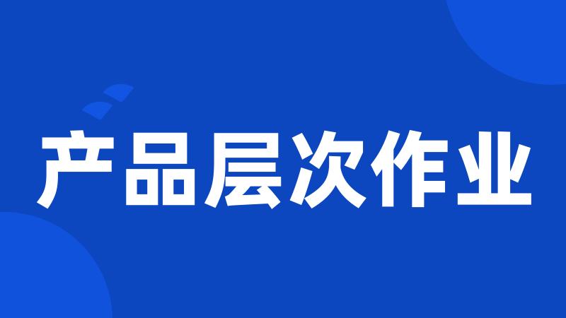 产品层次作业