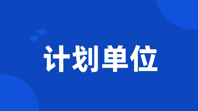 计划单位