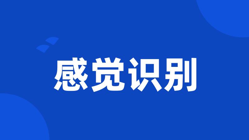 感觉识别