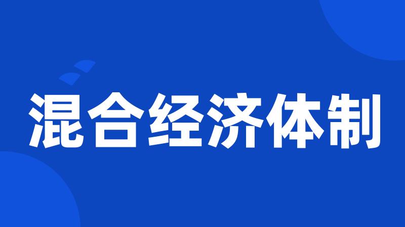 混合经济体制