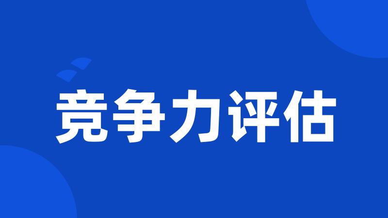 竞争力评估