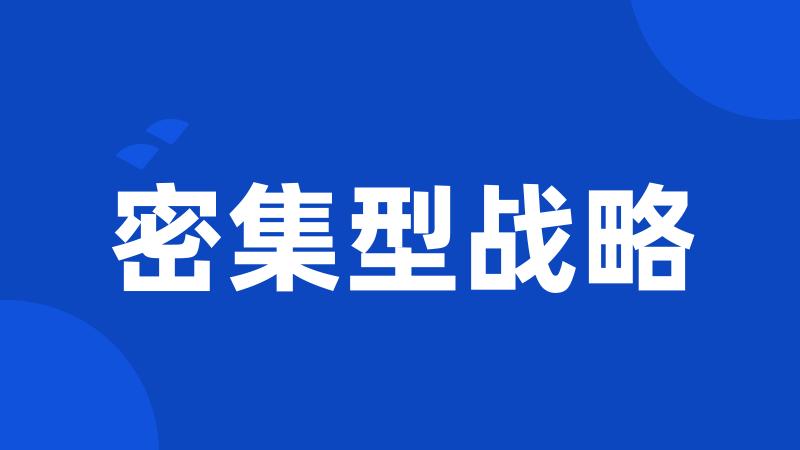 密集型战略