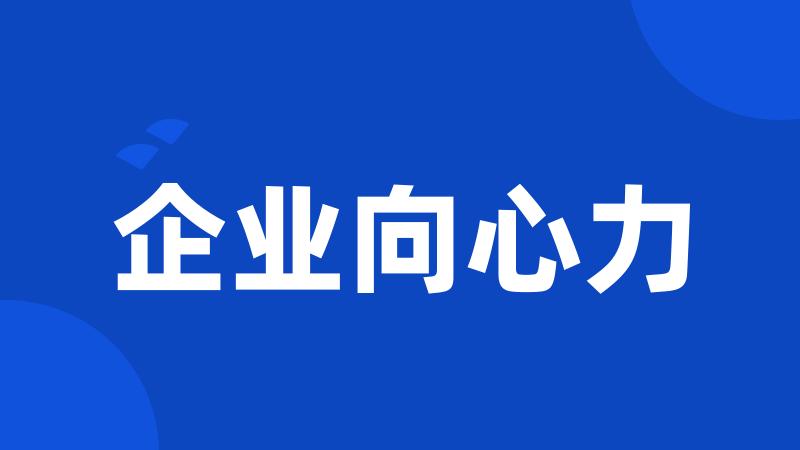 企业向心力