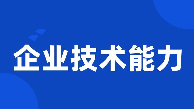 企业技术能力