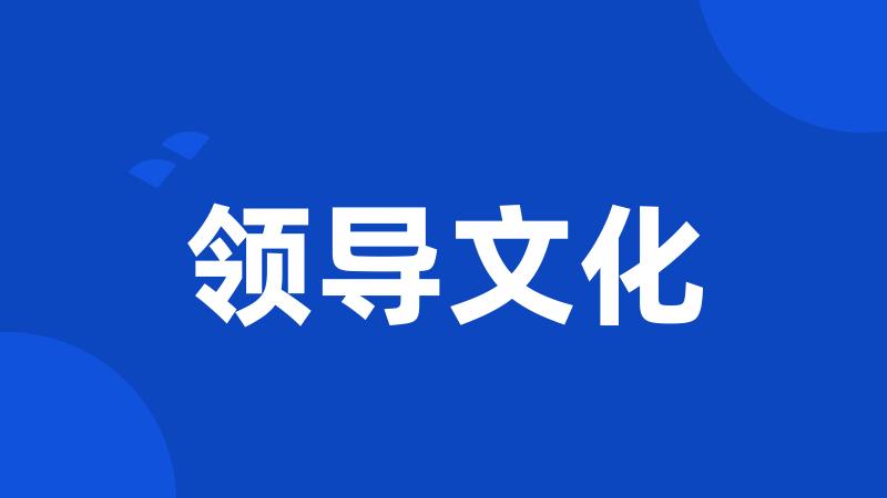领导文化