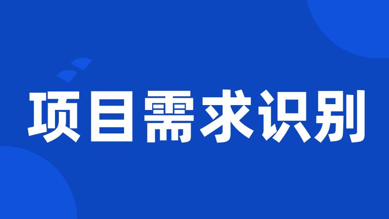 项目需求识别