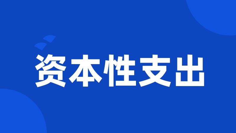 资本性支出