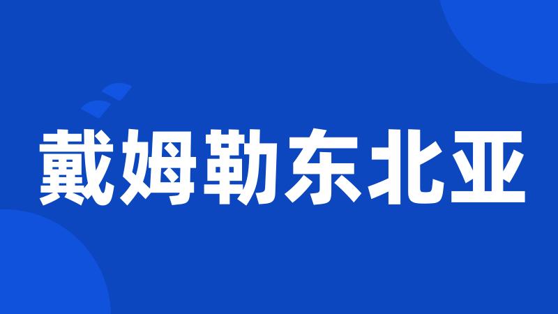 戴姆勒东北亚