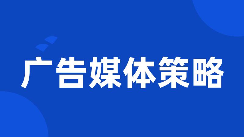 广告媒体策略