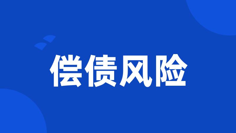 偿债风险