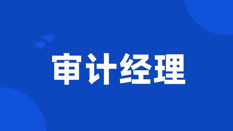 审计经理