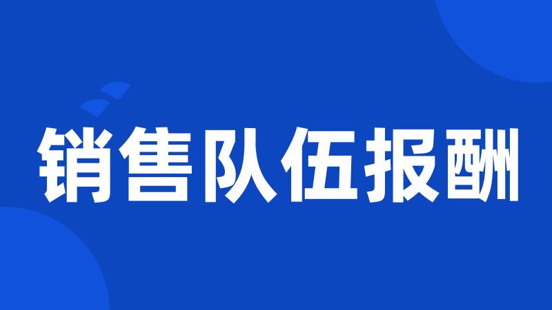销售队伍报酬