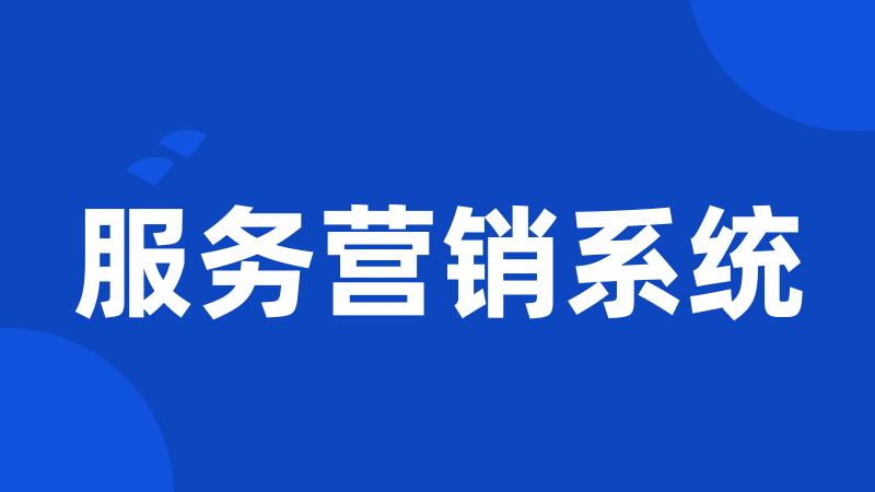 服务营销系统
