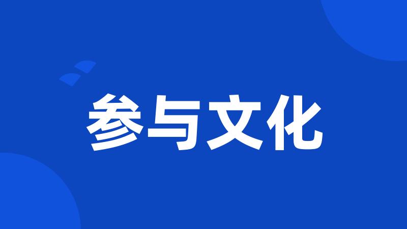 参与文化