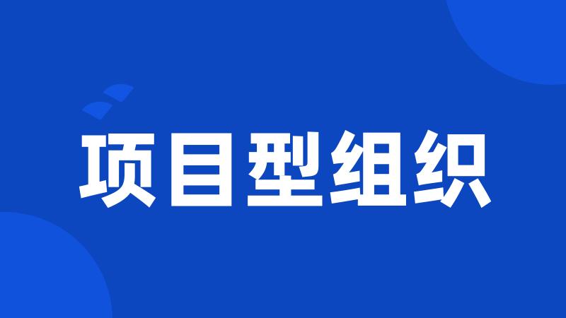 项目型组织