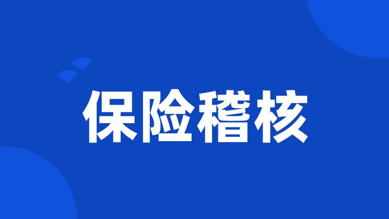 保险稽核