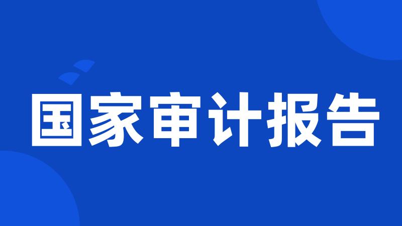 国家审计报告
