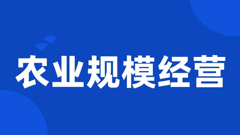 农业规模经营
