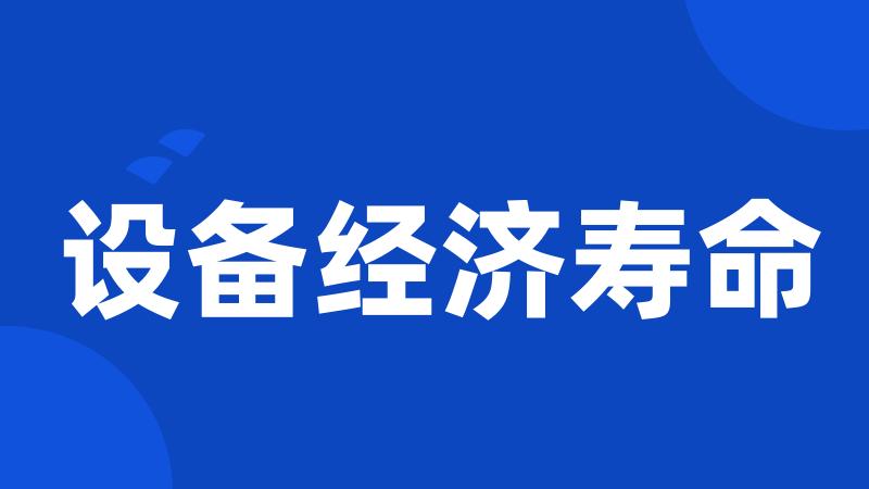 设备经济寿命