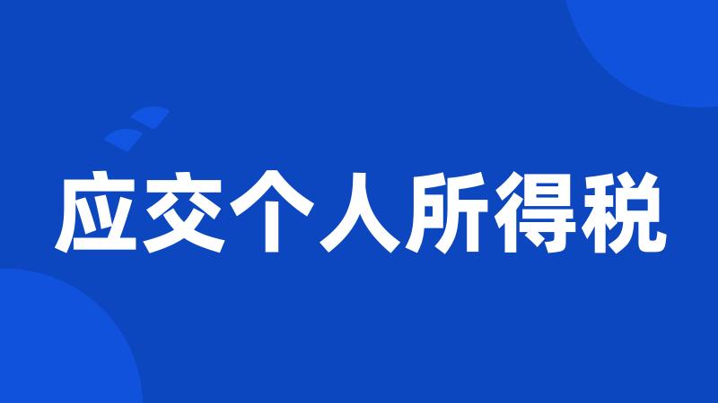 应交个人所得税