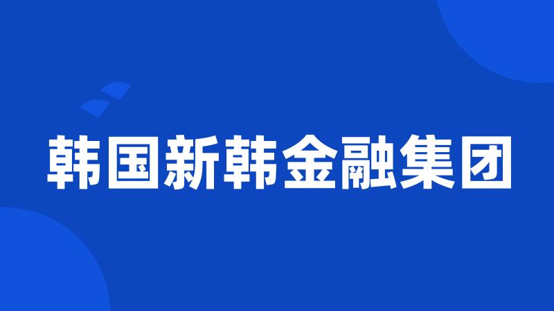 韩国新韩金融集团