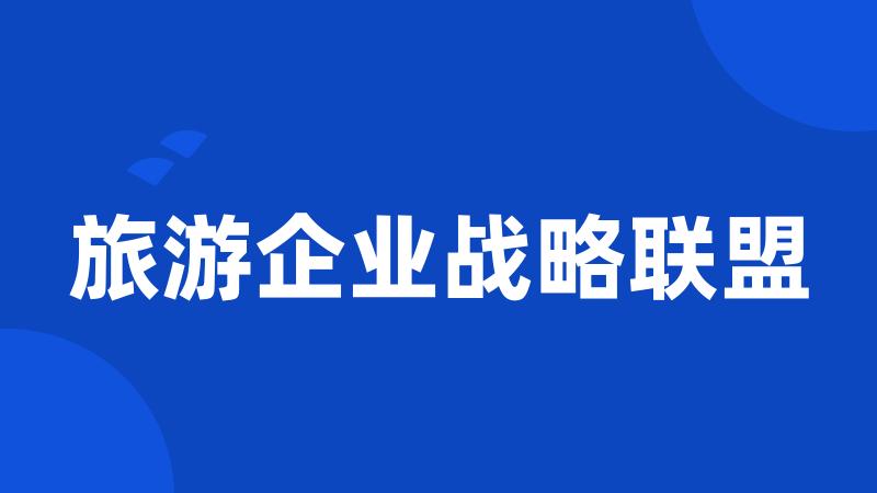 旅游企业战略联盟