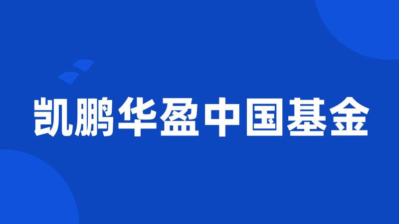 凯鹏华盈中国基金