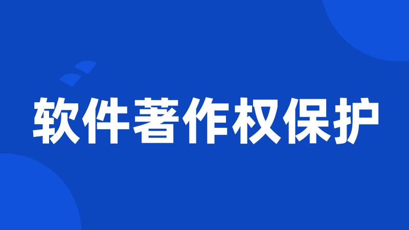 软件著作权保护