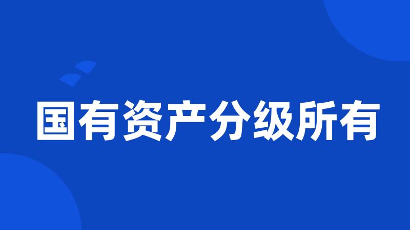 国有资产分级所有