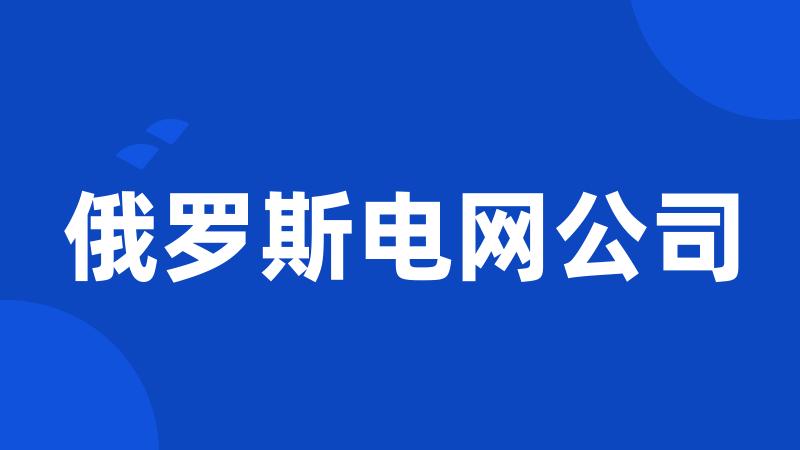 俄罗斯电网公司