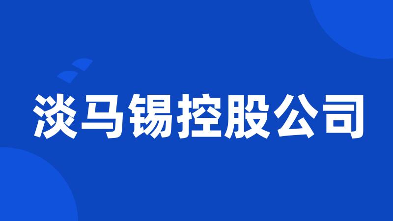 淡马锡控股公司